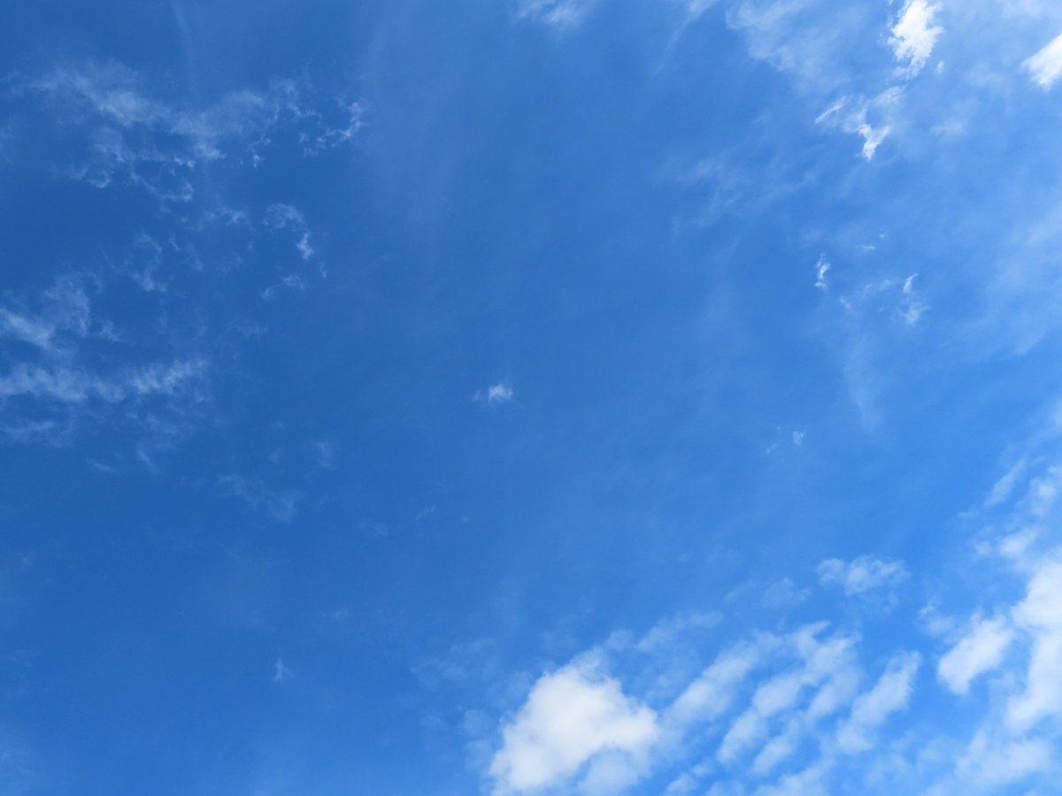 caputetcor's tweet photo. 国内も国外もコロナやインフルの流行が報じられています
近くの観光名所を通ったらすごい人出でした
みんなで感染症を移しあっていると思うと怖くなります

#公共交通機関は窓開けとマスクを推奨してください
#電車の窓を開けよう
#バスの窓を開けよう
#人と会うなら必ずマスク https://t.co/2jHc2vAX8D