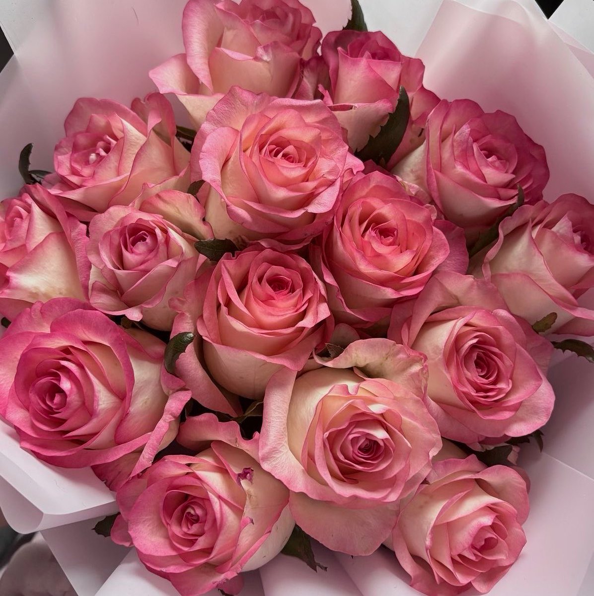 PRFCTFLOWERS's tweet photo. 💐: @pgplandia 
💌: i love this community so much. for the past seven months, i have found my favorite people in the entire world who i cannot imagine my days without. thank you for welcoming me and loving me always. pgp down forever - @the_cheeries https://t.co/dH2SV4SXRE