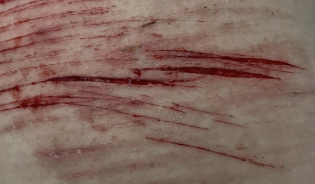 kawoshinluv__'s tweet photo. old sfx makeup i need to lock in and do it again https://t.co/7Q55aoFNZi