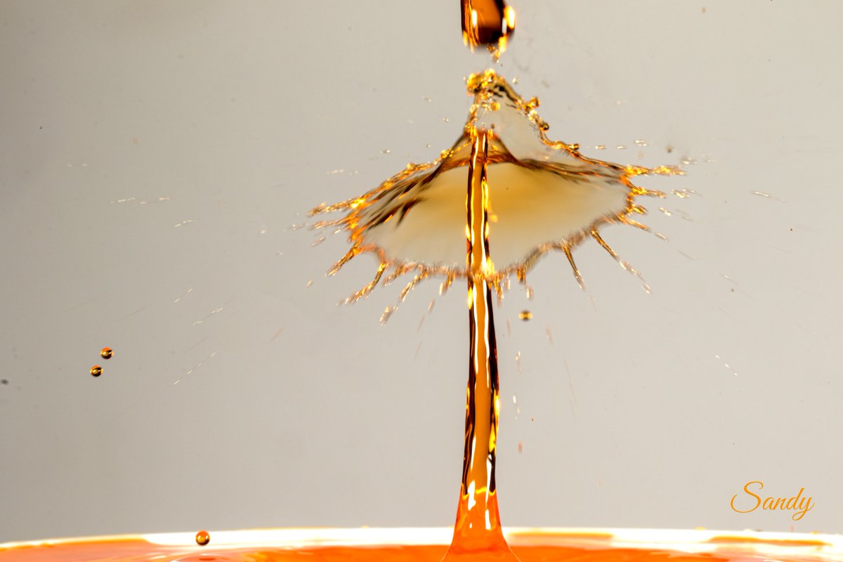 sashandhi's tweet photo. My Orange dancers...#waterdrop #waterdrophotography #orange.. https://t.co/dER6Ghovvu