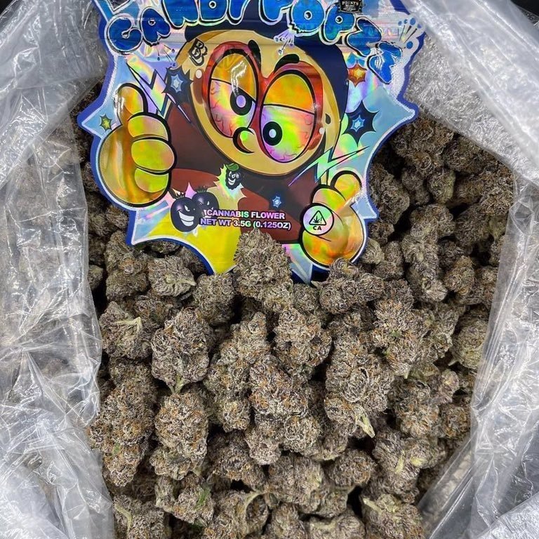 MuiEdris33586's tweet photo. MENU 🇦🇺 ➡️ https://t.co/QIPn6wHjZC 

Blue Zushi 🪼

Weed in 🇦🇺 🍀
cannabis
Sydney , Melbourne , Brisbane, Toowoomba, Maitland, Canberra
Adelaide,Perth, Gold Coast, Newcastle

Aussie weed plug 🔌🥷

#drugtwt #aussie #coketwt #methtwt #kushtwt #marijuana https://t.co/DgTuPdEkxy
