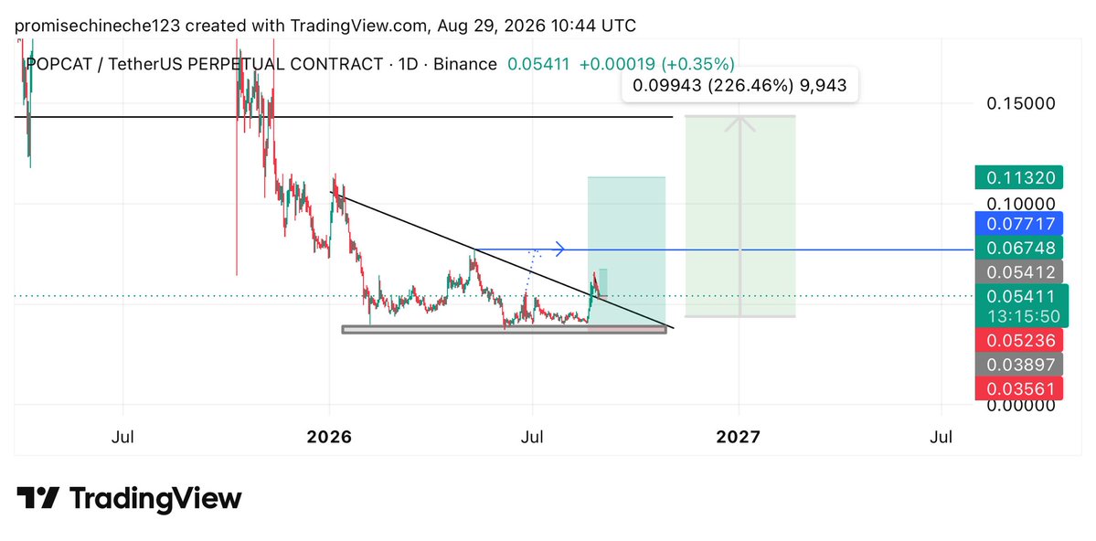 NECHE29463's tweet photo. $popcat is not done yet 
It must reach our first TP level https://t.co/V79ha95UyG