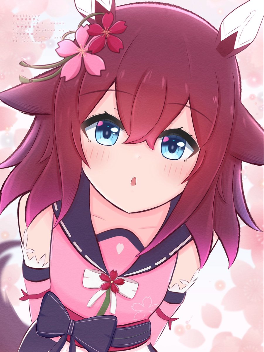 Napo2739's tweet photo. チヨちゃん🌸 https://t.co/7QQzXxslsa