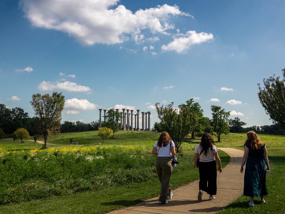 washingtondc's tweet photo. Just DC being naturally pretty. 🌿💌

Consider this your sign to see a different side of the city. 💚

🔗 to parks &amp; gardens: https://t.co/126XA8fBvE

📸: @washingtondc #Only1DC #SummerInDC https://t.co/DmWQQfdBxN