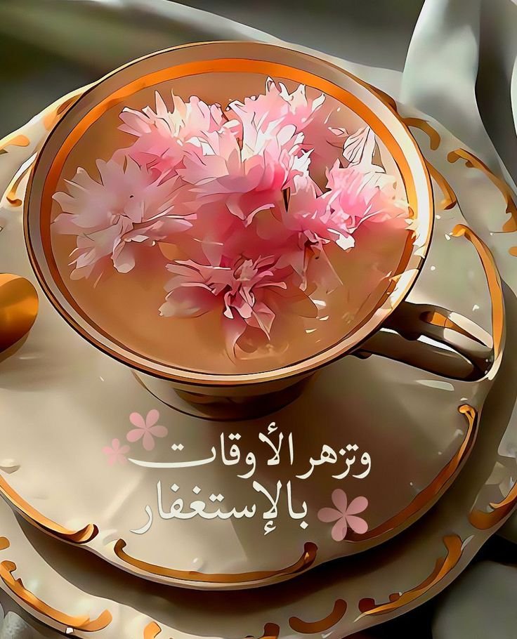 nawalbenaissi's tweet photo. 🪷🪷🪷 https://t.co/LsXlYnOZSF