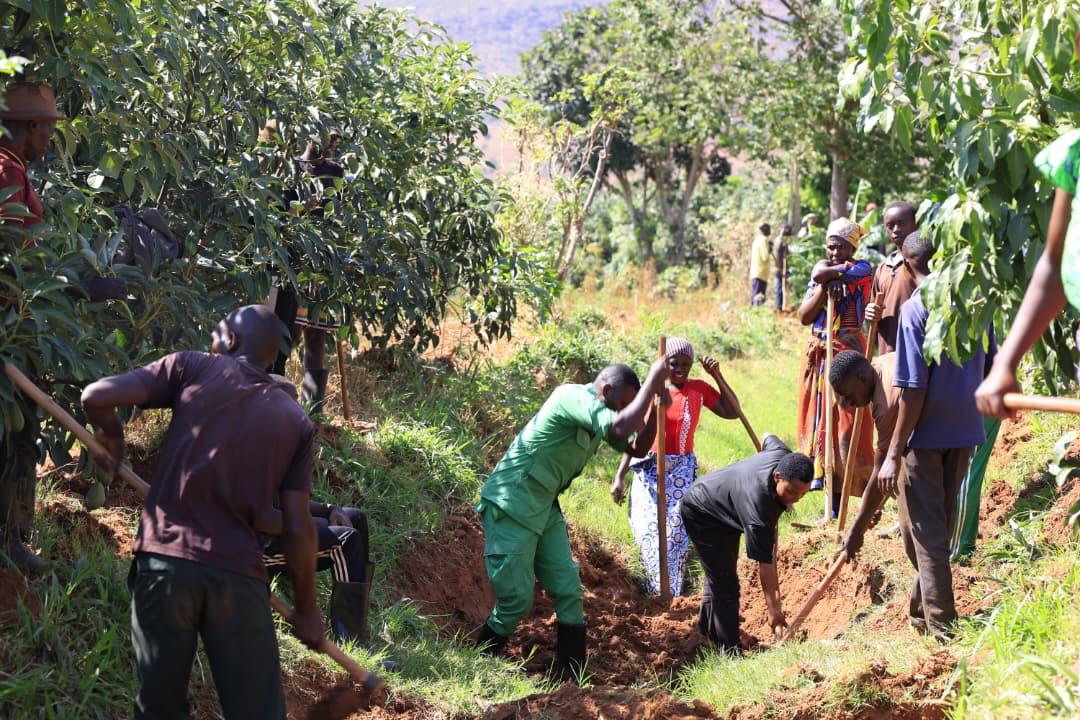 KireheDistrict's tweet photo. Uyu munsi, hirya no hino mu Karere hakozwe Umuganda usoza uku kwezi, Umuyobozi w'Akarere wungirije ushinzwe iterambere ry'ubukungu @NzirabatinyaMo4  ari kumwe n'itsinda rya @nilebasin bifatanyije n'abaturage b'Umurenge wa Mpanga, mu Kagari ka Mpanga ahatunganyijwe inzira z’amazi. https://t.co/74aoWccdZl