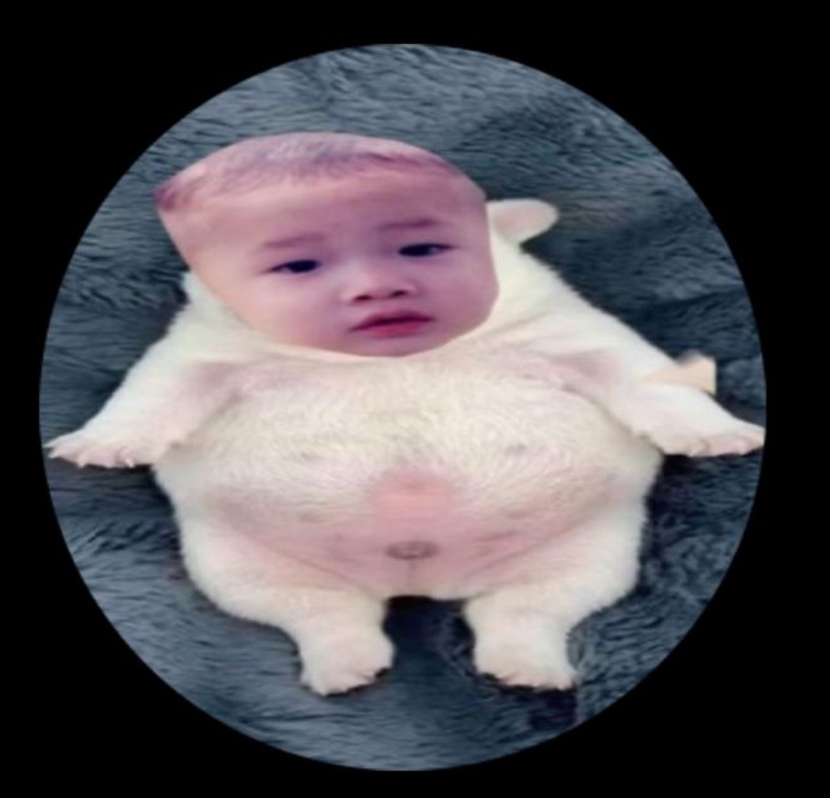 popepopav's tweet photo. я вешу 67 кг (не шучу) я https://t.co/NNzuOlv7HC