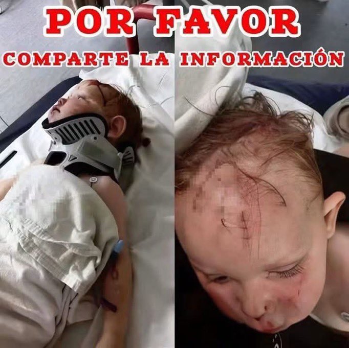 vkyoficialmx's tweet photo. RT comparte 🚨 ¡AYUDEMOS A ENCONTRAR A SU FAMILIA! 🚨

Este pequeño fue encontrado a la orilla de la carretera en El Colorado, Querétaro. Al parecer tiene aproximadamente 7 años y pregunta cuándo podrá regresar a su casa. 💔

🙏 Si alguien lo reconoce o sabe quiénes son sus familiares, por favor avise de inmediato a las autoridades o a su familia.

📢 Ayúdanos compartiendo y dando RT. Cada compartida puede ser la que haga posible que este pequeño vuelva pronto a casa. 🥺❤️

¡No dejemos de compartir hasta encontrar a su familia! 🙏