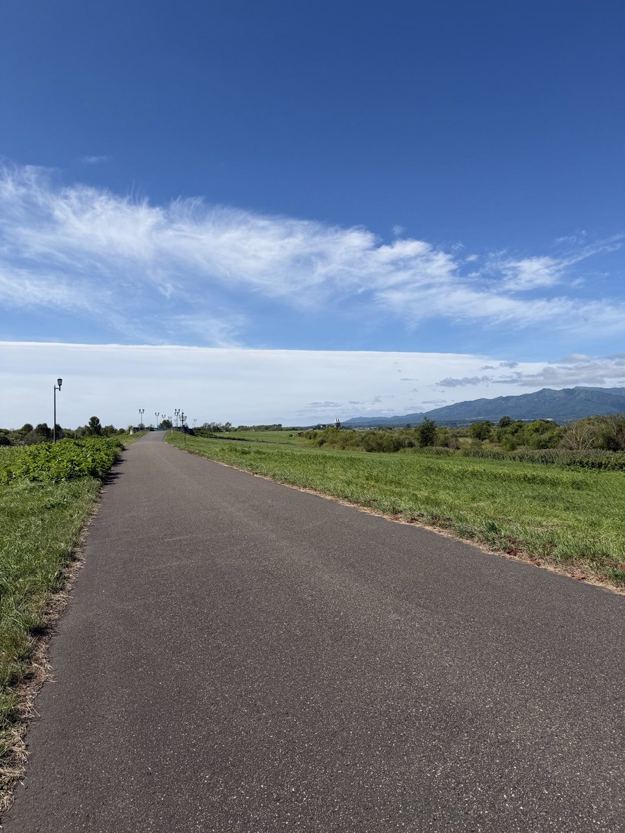 akkys4355's tweet photo. 散歩途中で見た空ですが青空に一本線を引いたような雲でした☁️ https://t.co/AR8eFwRokC