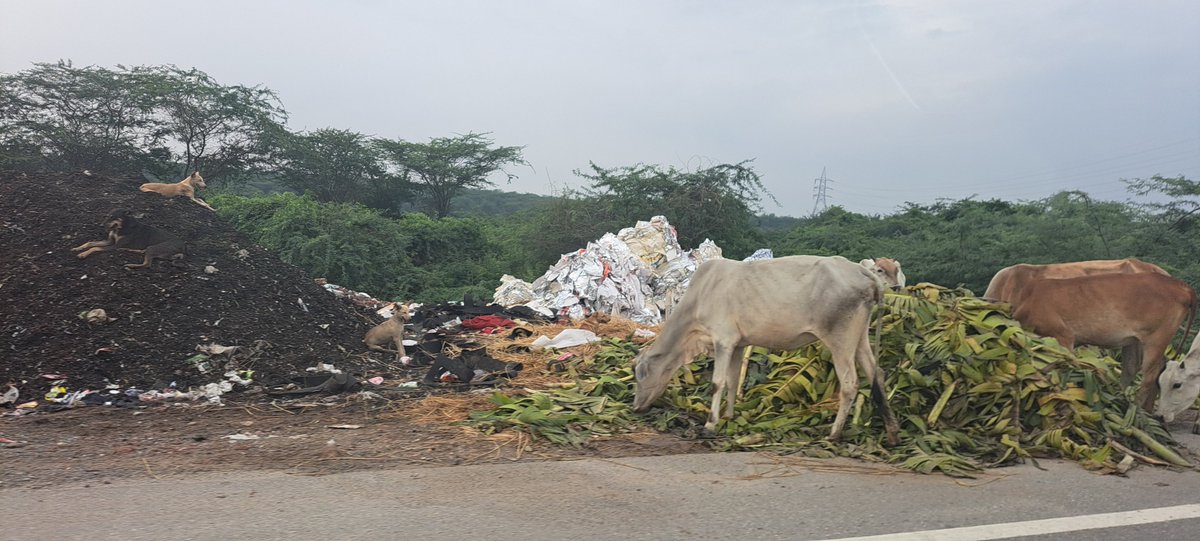 bhadana's tweet photo. @DC_Faridabad Sir,

Requesting CCTV cameras on Faridabad–Gurgaon Road, Aravali. 

Continuous garbage dumping and burning is severely damaging this ecologically critical area.

Kindly intervene and get surveillance installed at the earliest. https://t.co/HFP10scJv4