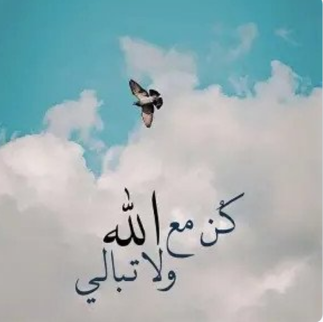 BntNwr90's tweet photo. صل  علئ رسوال الله
#مساء_الخير https://t.co/SIETAYpO3R