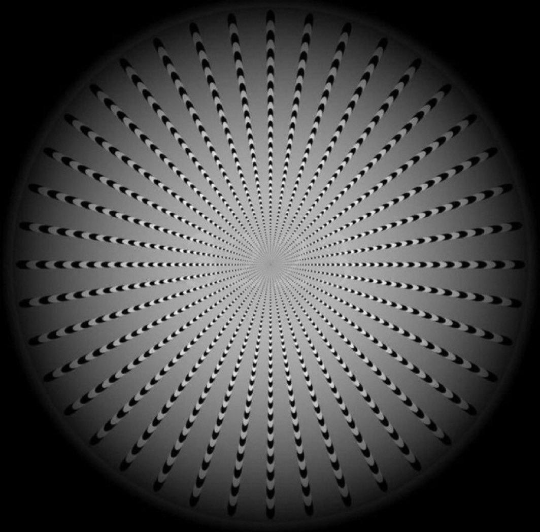 ElonMuskInvfc's tweet photo. No one has found the number in the box so far ?
What number do you see?
LEVEL- VERY- HARD https://t.co/qUKBENQALO