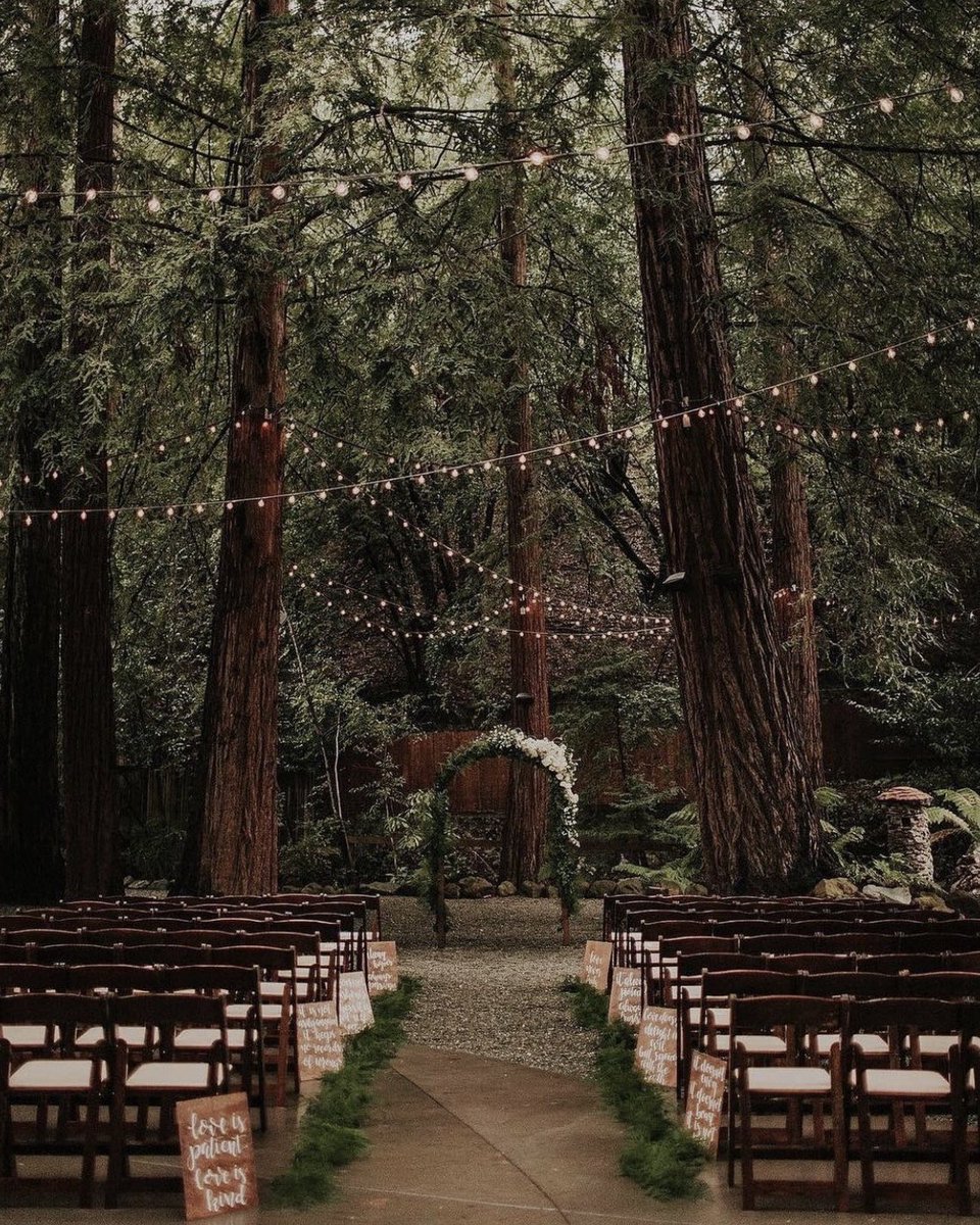 stvlendance's tweet photo. my parents are getting married. 🌳🤎
https://t.co/zYiLvrVU7e https://t.co/LVeKMLrlkg