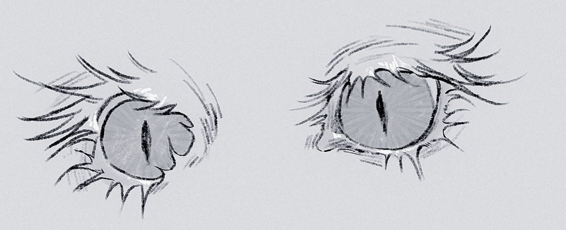 1954love_hate_'s tweet photo. ああ〜ねこちゃんの目だいすき https://t.co/T13D3P37pH