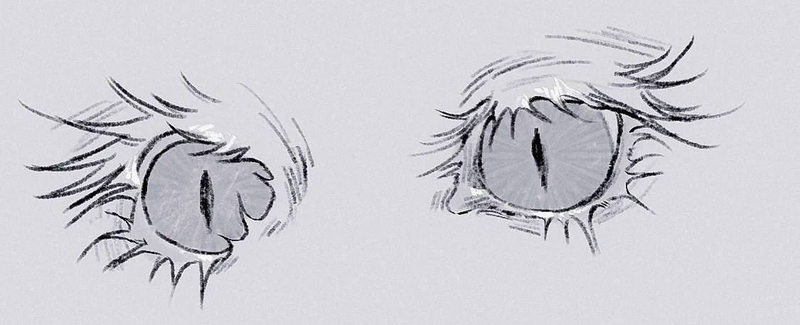 🦦眇眼🦦 (@1954love_hate_) / X