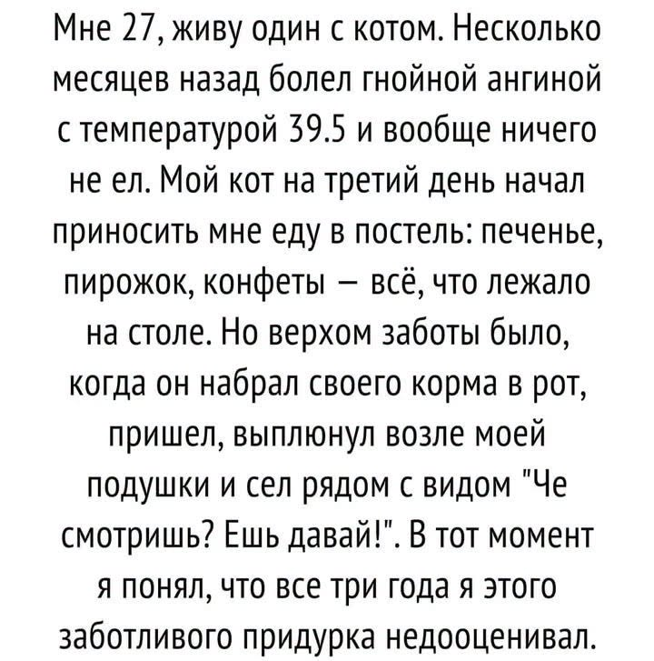SalamovTim76079's tweet photo. Супер кот-мне бы такого.👍🥰🙃 https://t.co/Q65HDkL1OQ