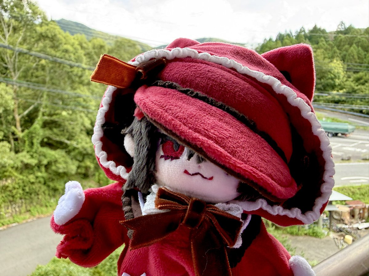 Roaloadool's tweet photo. 可愛い😢ごらん…電波0だよ https://t.co/bTUBXGbgMt