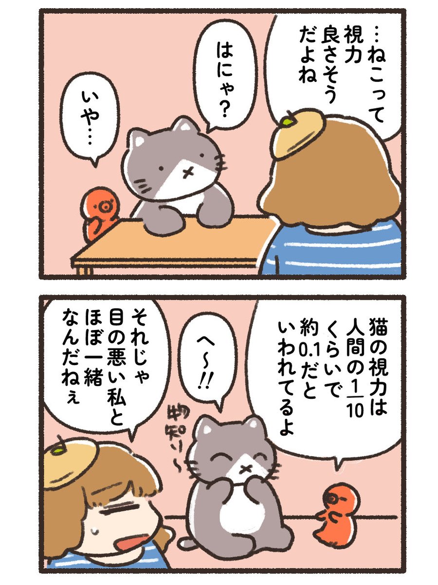 777_nasinoki's tweet photo. 【本日のねこ】
視力とねこ（2/2） https://t.co/tA13abe8tt