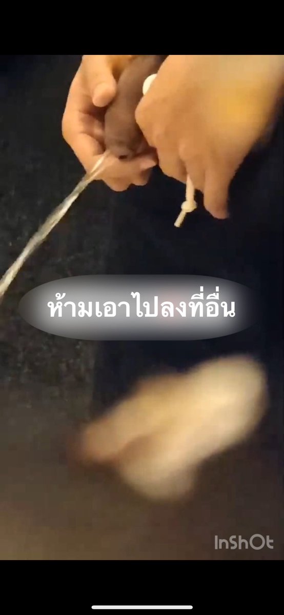 Lmeon11's tweet photo. ห้องน้ำร้านเหล้ากะพี่ชุดบอลเหลือง อิอิ ไปตำกันในแอดล็อกนะคลิปเต็ม 30-บ. Dm มาน้าา อิอิ https://t.co/0To7GvXwBa
