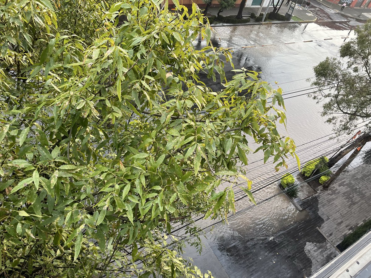 yunuenft's tweet photo. Otro socavón en @BJAlcaldia está causando una enorme inundación en Portales Sur. Ya se avisó y reportó. Urge ayuda @SEGIAGUA @GobCDMX https://t.co/hDlpeEnEWd