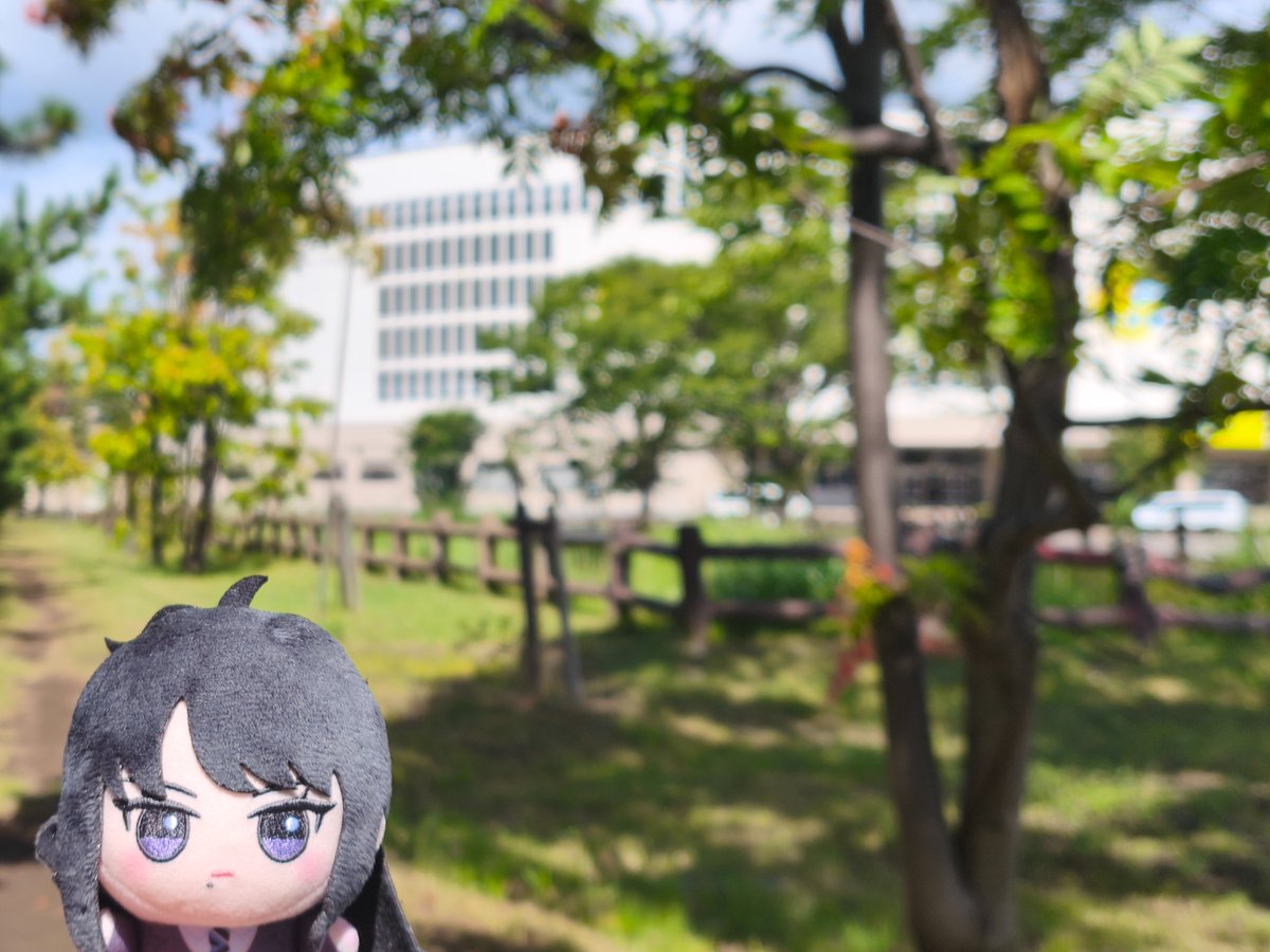 100tenichigo's tweet photo. その2 https://t.co/g37pL65MvO