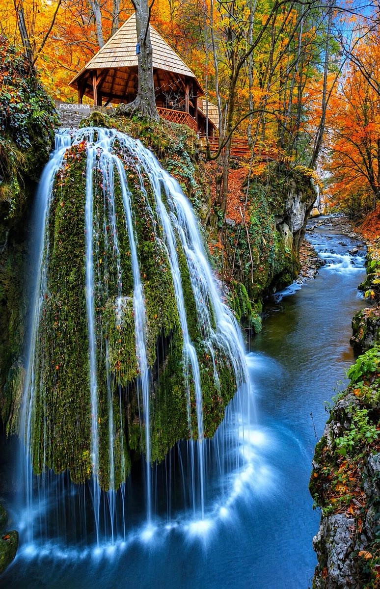 MolitvaDuse's tweet photo. ... 🌺🌼🌸🌻

...👇👇👇... 

@SkyKing9977
@The_Jalisco_Kid
@TrumpLoy0
@tuna348
@walter_jan93509
@1109Patricia
@BrianHPatriot76
@BsBabe02
@ChavezKenny77
@cleansniper45
@Eb67735B
@GaryWalters66
@gman5180
@goldisez
@MolitvaDuse https://t.co/enjKClIg6b