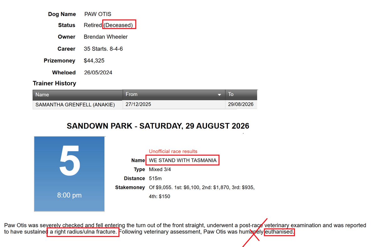 susanamet's tweet photo. #deadgreyhoundsaus

*** warning distressing images & sound ***

Sandown Victoria tonight - in the "We Stand With Tasmania" race - another beautiful greyhound was killed by this cruel industry.

Two year old Paw Otis suffered a right radius/ulna fracture & was "euthanised". A staff member runs on to the track & picks up the seriously injured greyhound. On whose advice would someone pick up a distressed dog with broken bones like that? Clearly the race is the priority, the $$$$, not the greyhound who was crying out in pain.

The footage below shows Paw Otis just before the race, then the fall, then the "collection". In the last part he can be heard crying out in pain.

Rest in Peace 🤍
Born: 26 May 2024
Dead: 29 August 2026 Sandown Victoria

#bangreyhoundracing

Replay and report with link to racing history:
https://t.co/NQVXFRHSGg