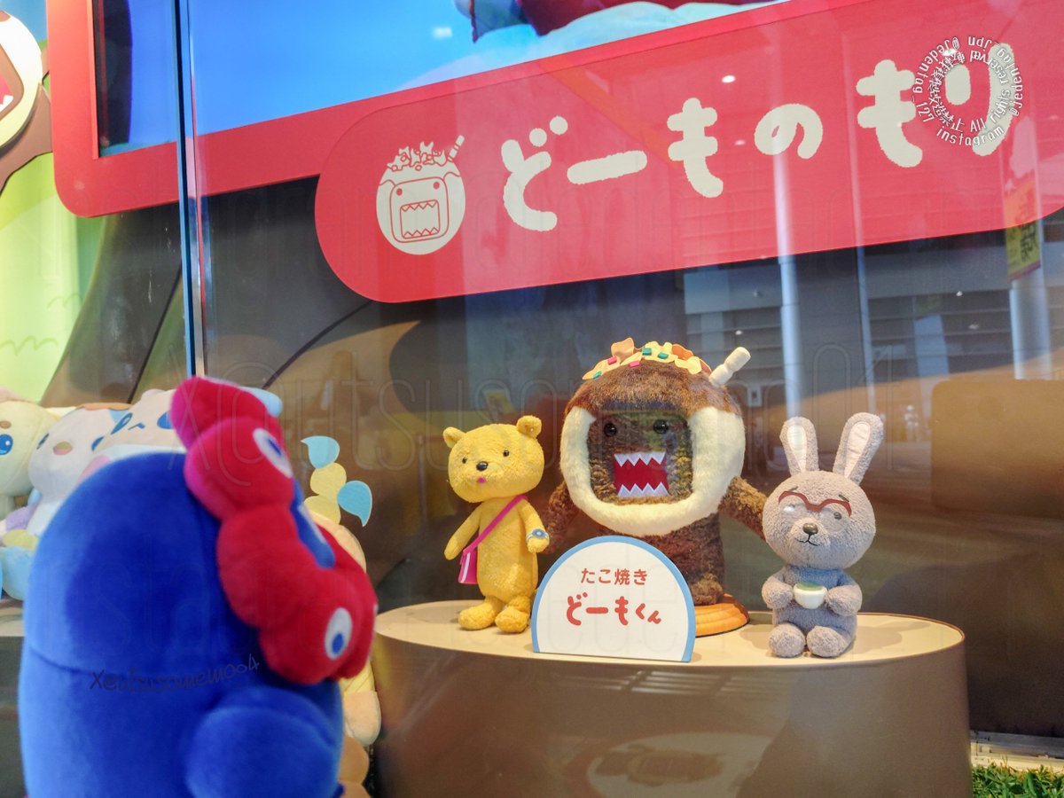 utsusomemo04's tweet photo. ふわふわ界隈のせんぱいたち
みんな、かわいい

#もっちりミャクミャク https://t.co/HqnNVfEZqV