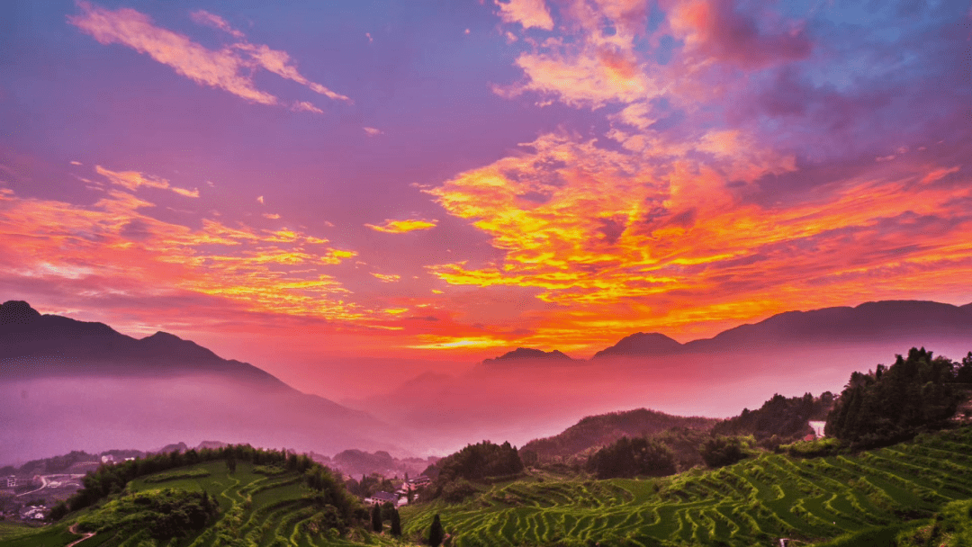 aermd978220's tweet photo. Watched the golden sunset paint the rice terraces in Bali pink—nothing beats this slow, quiet magic , https://t.co/HIqJakdK9s