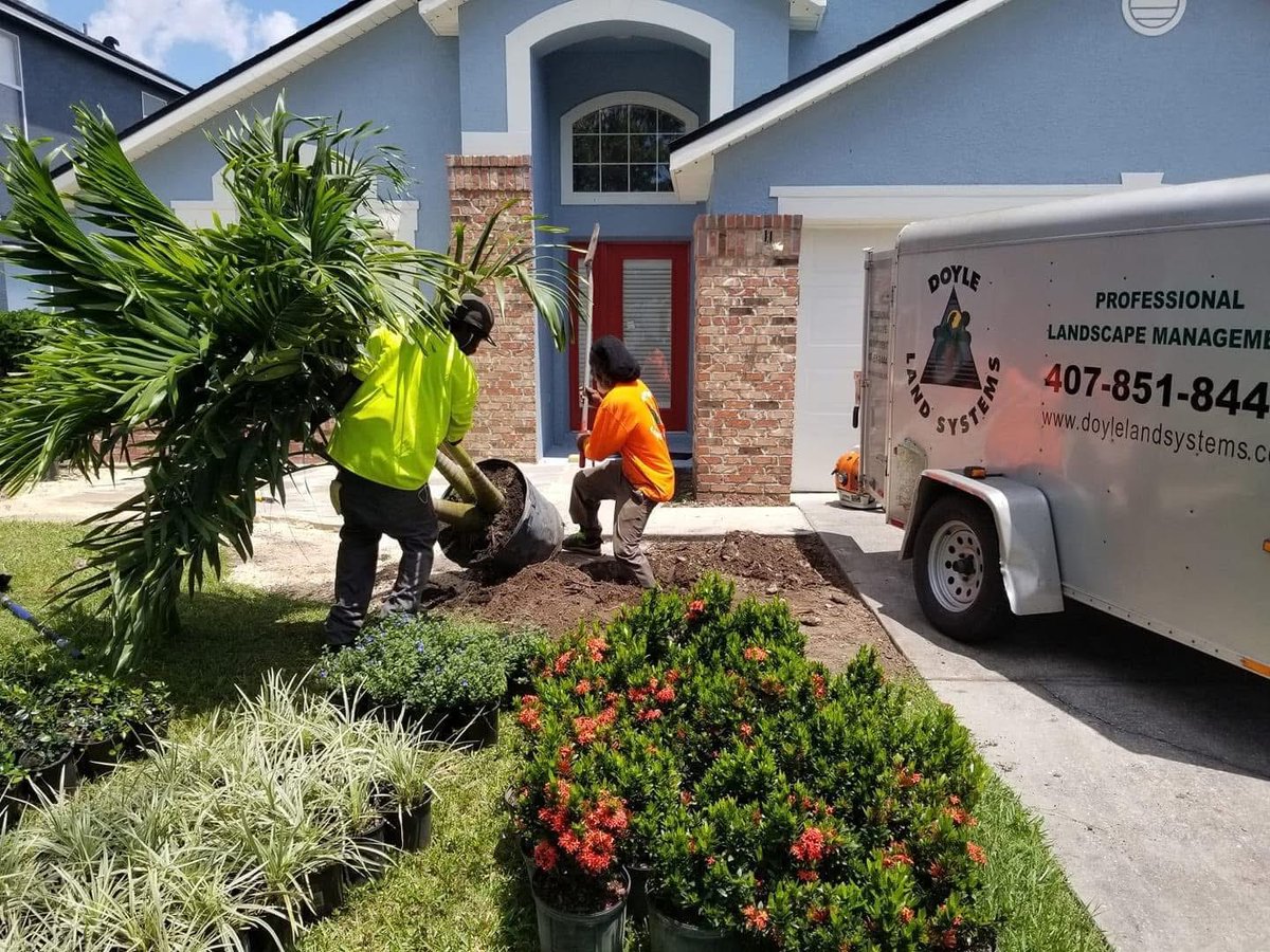 DoyleLand407's tweet photo. Fall is upon us ! 🍁 Call Doyle Land Systems today and we will design & build your dream landscape just in time for football, family gatherings , and the holiday season !https://t.co/ROGhZ7jtOz🌴🇺🇸🇺🇸🇺🇸#landscapedesign #poolscape #rockscape https://t.co/aOJhPWELzz