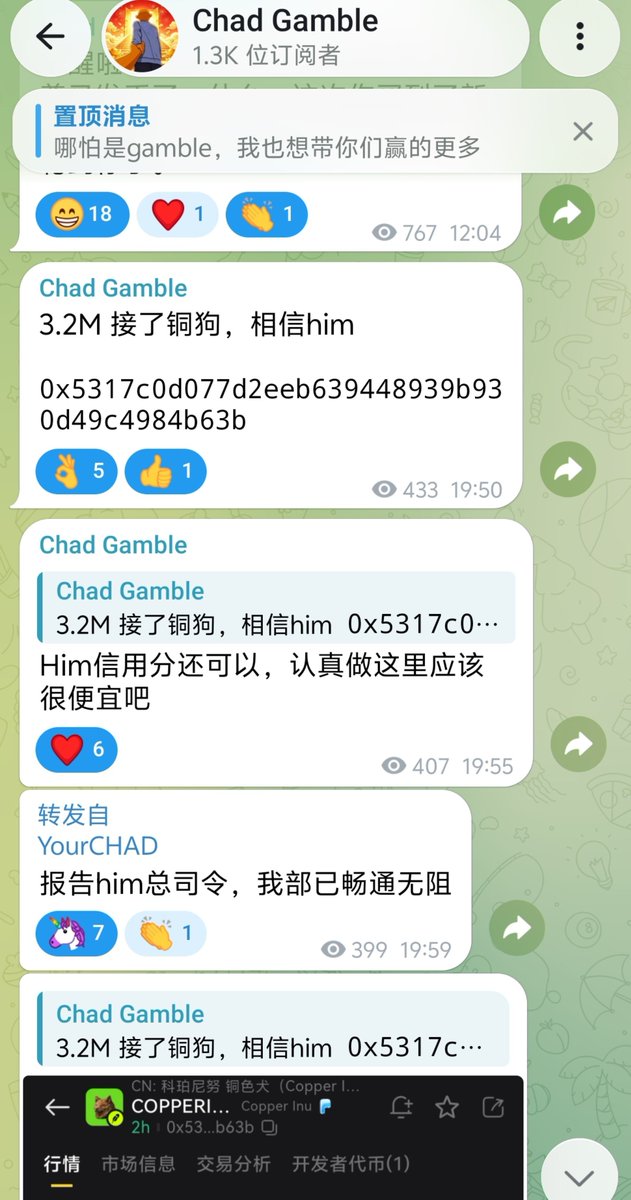 chad9793's tweet photo. 铜狗在2M-3M 这个区间被我按头上的，应该都舒服了吧

链上不需要出手很多次，但是一定要尽量抓住每一个确定性的机会

$COPPERINU higher !!! @himgajria

0x5317c0d077d2eeb639448939b930d49c4984b63b

https://t.co/REqbkFn4WC https://t.co/d0SPqMuM8J