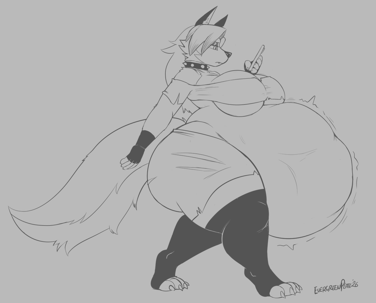 EvergreenPlate's tweet photo. Don't bother the dog https://t.co/bU4aXL4L4u