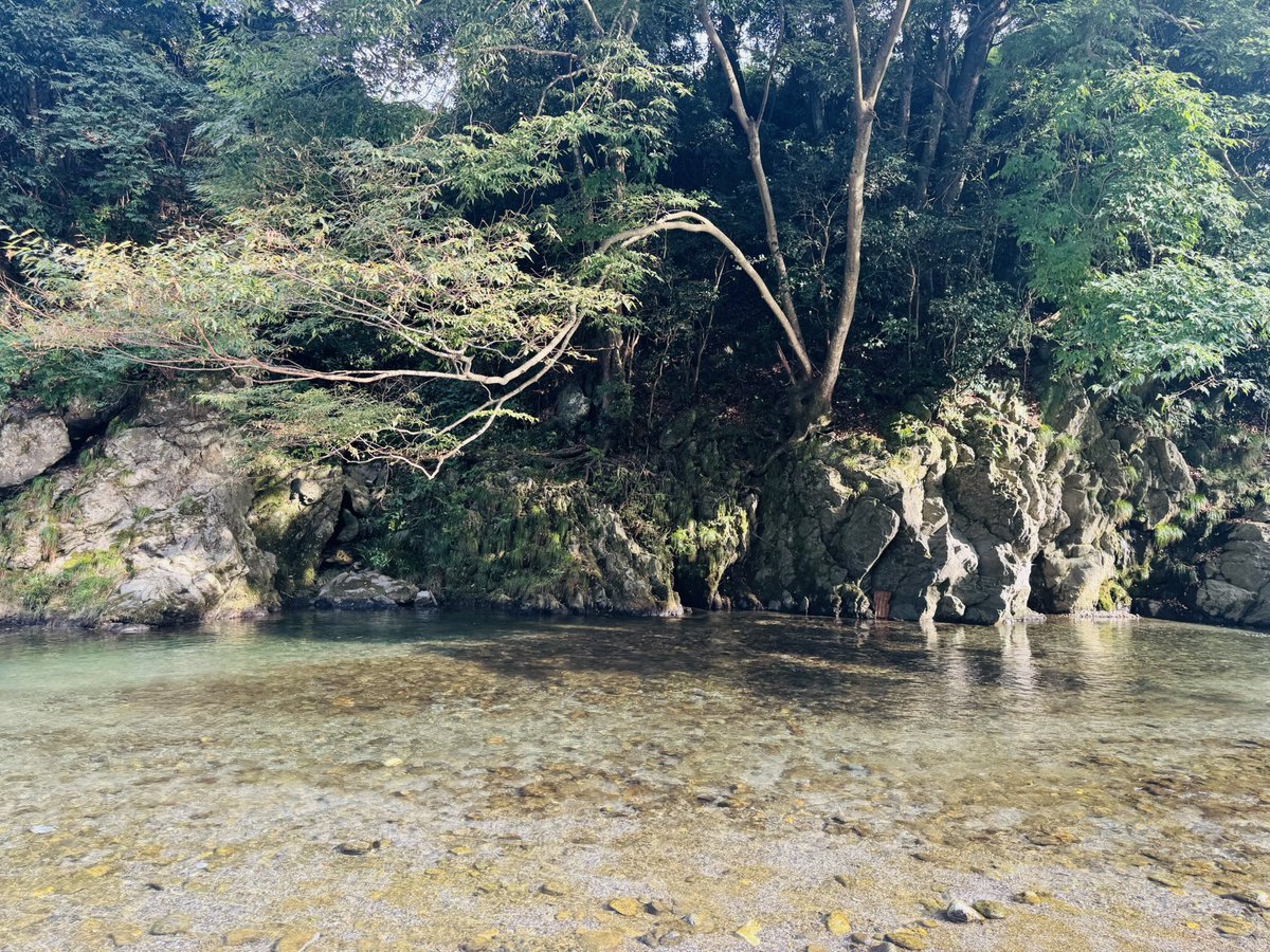 4mo8's tweet photo. 去年まさかの海・川ゼロだったので、今年は滑り込みで川遊び行ってきました🤝旅行しないと行けないレベルの綺麗さが、県内にあるでないで🥹来年は6月くらいからめっちゃ来よう！ https://t.co/sXsbapekiG
