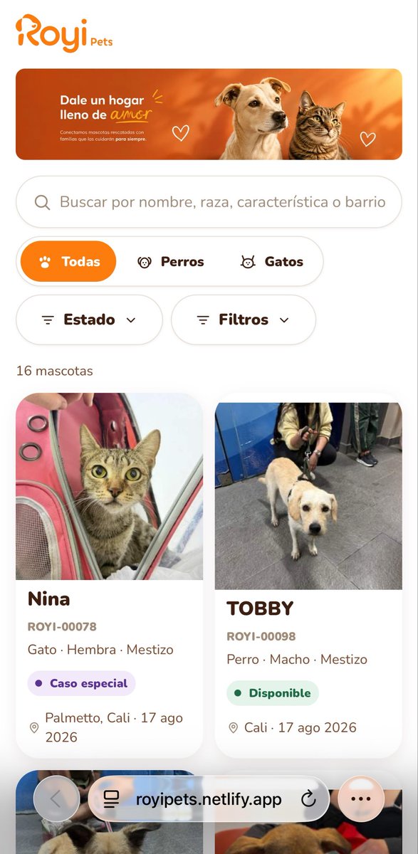 ValSaoo's tweet photo. De los mismos creadores de “con los niños no”, llega esta vacía. 

Con razón alguien con mucha razón le dijo que ni para perra servía, no era tan fiel ni tan leal 😷

Si están en Cali, en esta página pueden encontrar preciositos listos para adoptar: Royi Pets https://t.co/YrYGhD9zyt