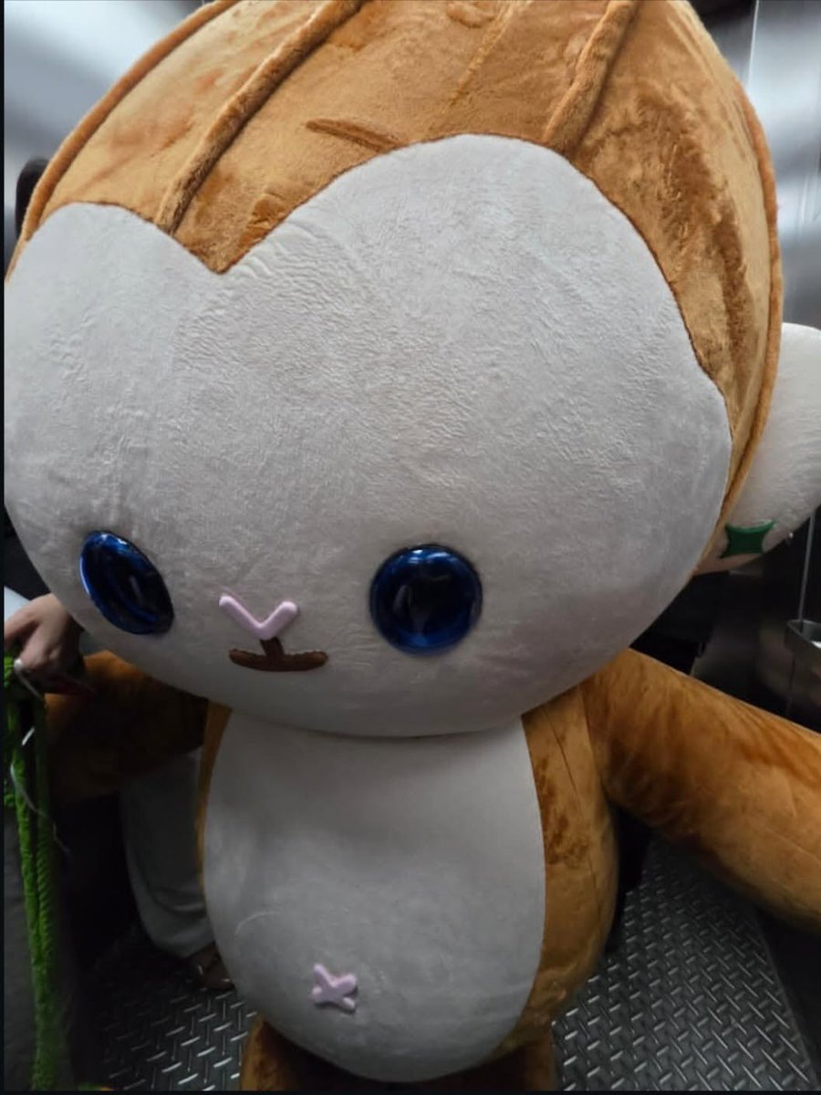 merrimixmas's tweet photo. ป้อนป้อนน่ารักทุกรูปเลยยย🥰 https://t.co/RcQ9KPUWqw