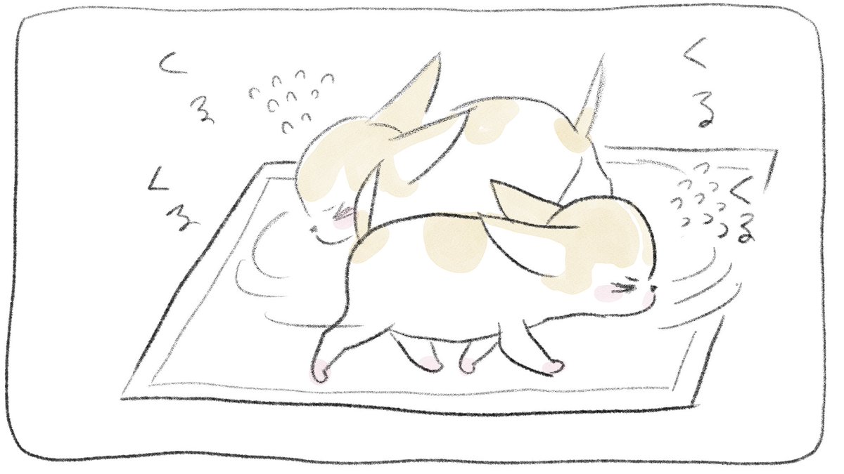 hello_kiraco's tweet photo. ハロー！きらこちゃん                   
no.86

#漫画が読めるハッシュタグ 
#チワワ 
#チワワ好きさんと繋がりたい https://t.co/0jHy6rcVzB