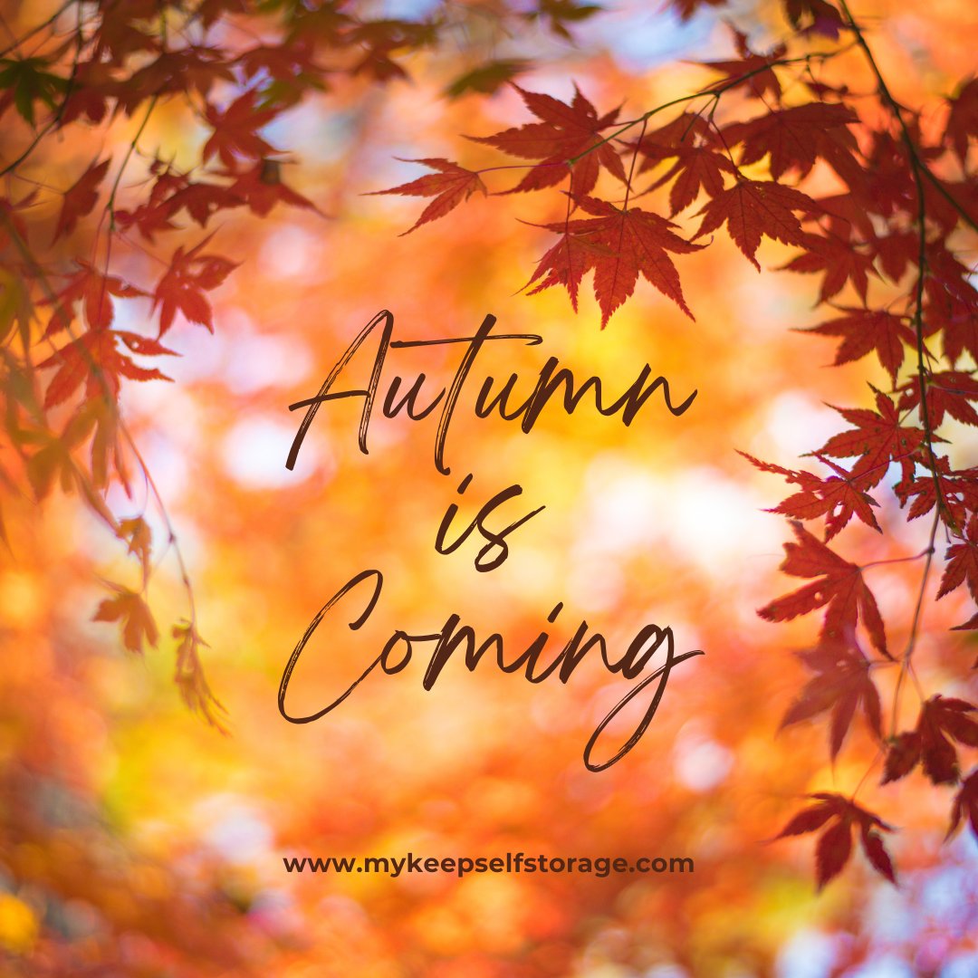 Mykeepstorage's tweet photo. 🍁 August is wrapping up and autumn is on the horizon! 🍂

Make the seasonal transition effortless with My Keep Self Storage. Clean, secure, and ready for all your storage needs.

Give us a call or stop by the office to get started! 🚚📦 https://t.co/pfROcyB5On