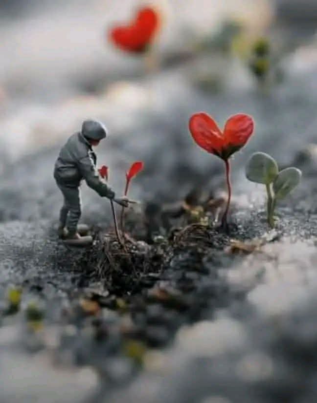 waeltaher4's tweet photo. ( ͡° ͜ʖ ͡°)
.."في القلب  كما في الأرض يُزهر ما تعتني بٍه 💞... https://t.co/YCBcchavBA