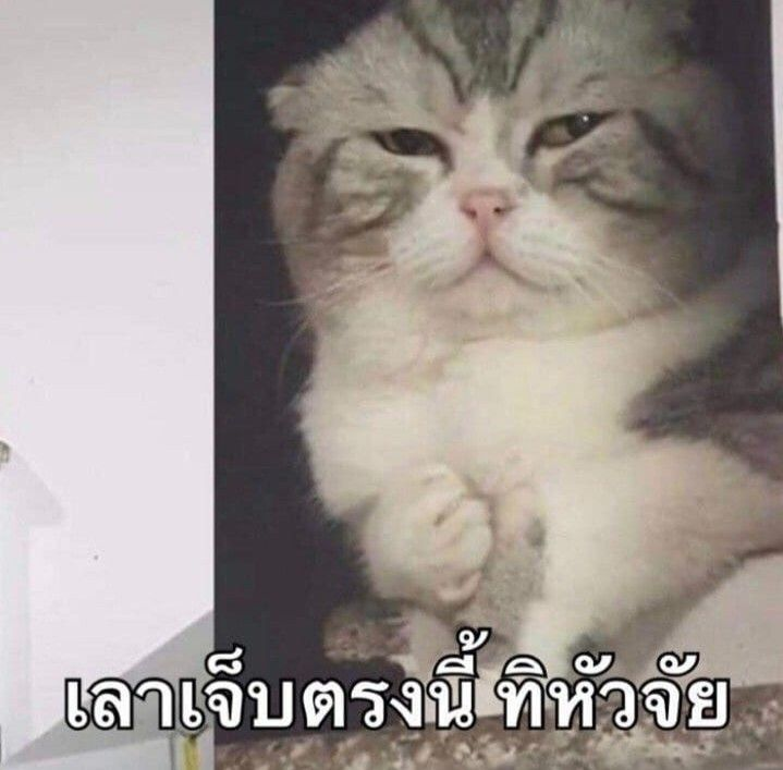 YouManiacSeries's tweet photo. โห่ดีนนนน พูดมาแต่ละคำ เท็นเจ็บถึงทรวงในเลยทีเดียว😖

#YouManiacSeriesEP1
@Williamjkp1 @BarcodeTin https://t.co/gXMQ56Rlg2