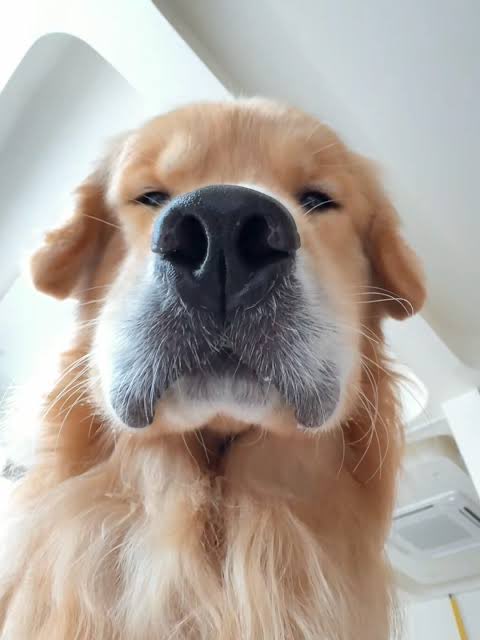 askjanefirst's tweet photo. sinto que tô atrapalhando alguma coisa 👀 https://t.co/gn0C2osiOS