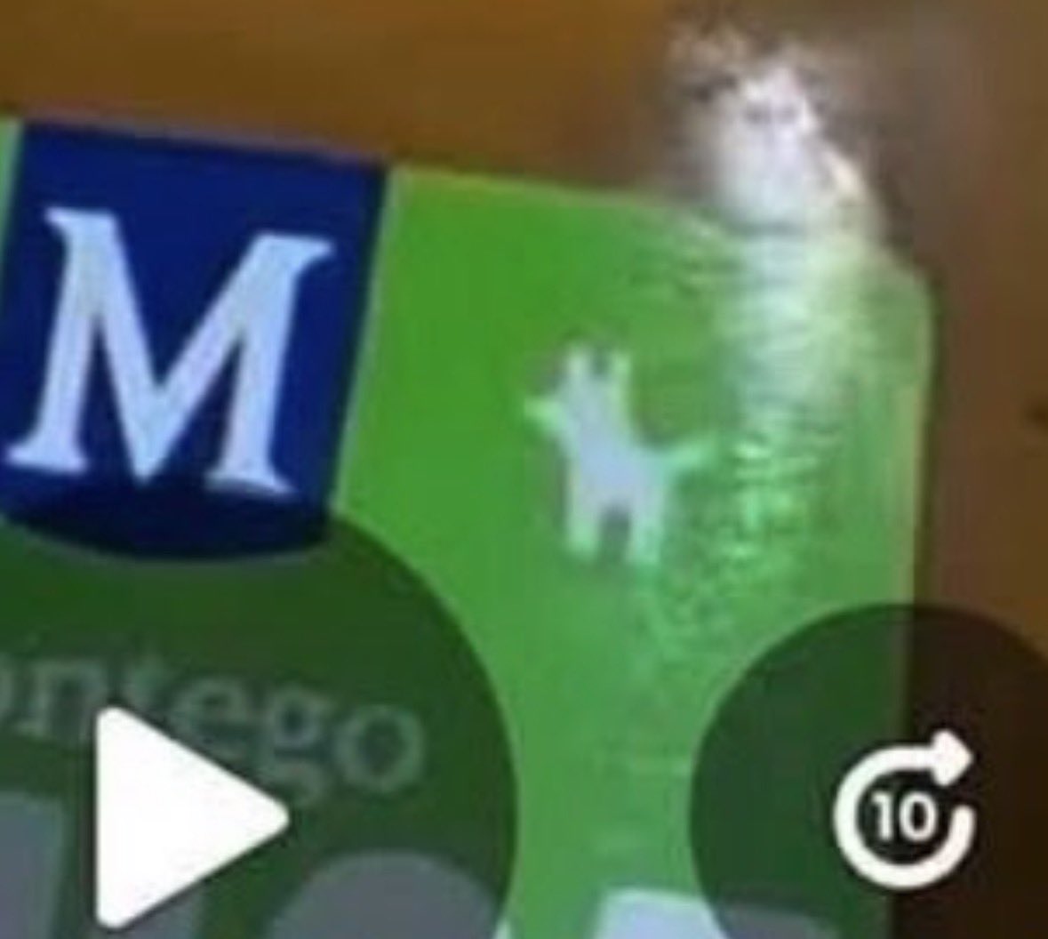 kanluvme's tweet photo. @KhananiShingan1 If you’re too lazy to read can we at least curious about the sticker of the dog on the bottle please 😭😭😭😭 https://t.co/19FtXbSp9I