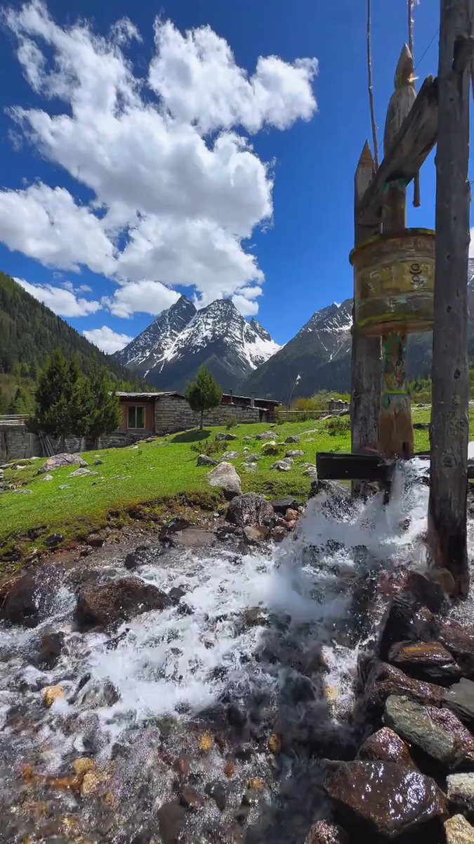 GloryEve's tweet photo. Just stumbled on a hidden mountain stream in the Swiss Alps—so quiet, so green, the perfect escape from city chaos. 10/10 would pause here again! https://t.co/hUfj50zsKy