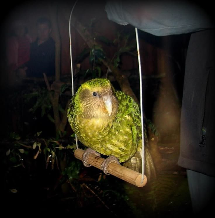 tired_ibis's tweet photo. having fun💚 https://t.co/Bw5r690nAL
