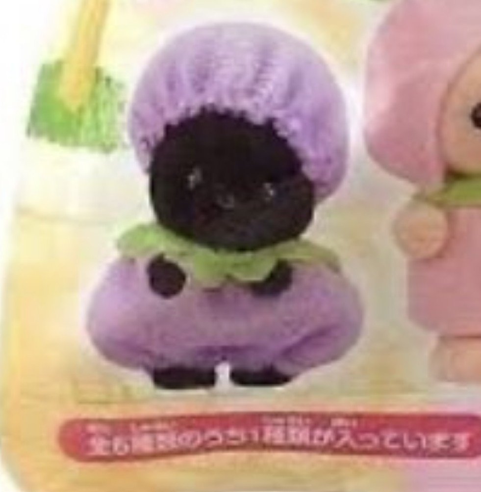 wonheeismz's tweet photo. wtb sylvanian blueberry midnight cat https://t.co/QisnNywzlg