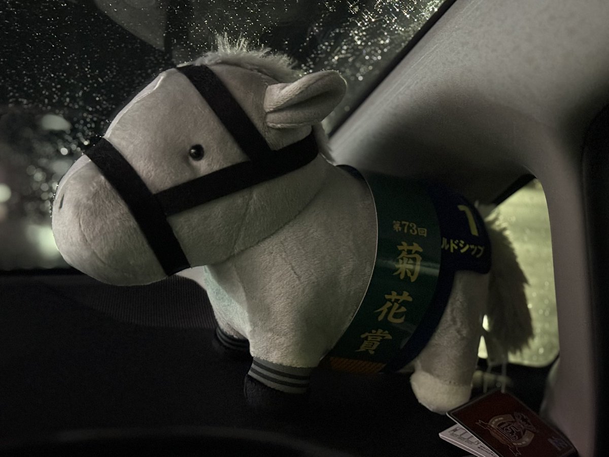 wjunsw's tweet photo. ヨロシクナ、相棒🐴 https://t.co/QCitANYj1C