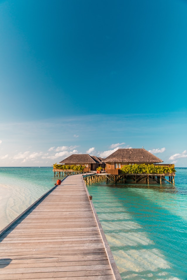 ButDansLaVie's tweet photo. S'évader aux Maldives 🌺🌊 https://t.co/YpDgQapT4F