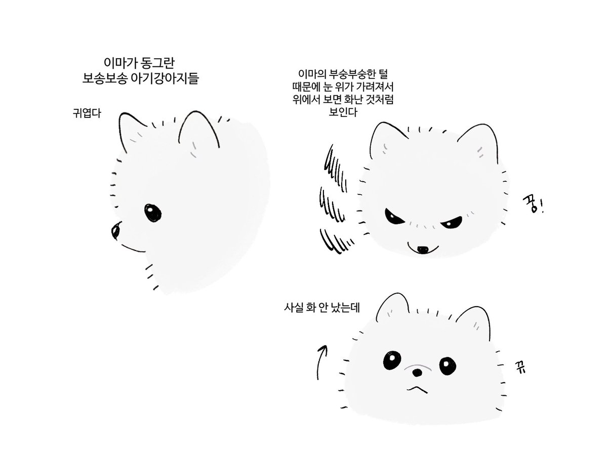 toasty_Yellow's tweet photo. 아니 이거잖아요 https://t.co/QuPjyz9lht