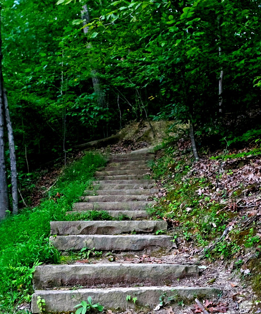 Th3RealRainbow's tweet photo. A quiet path of chiseled stone, ascends into the green alone. Through shifting light and shadows deep, the forest guards the steps it keeps. #stone #stairs #intothedeep #stairstonowhere #steps #green #gray https://t.co/pxksRbzR2U