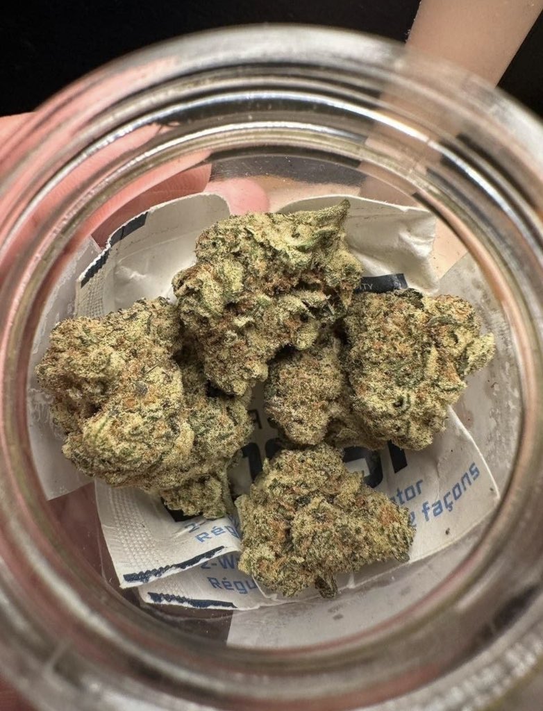 D420plug's tweet photo. Kaviar candy
Blueberry pancakes
Cherry zlurpee
AVAILABLE IN BIT N BULK 📦
☎️ORDER ON TELE: https://t.co/pRb7oLMmYz
NEED SOMETHING ELSE?
SHOP ON MY DISCORD 🏪
https://t.co/D9Hpx8wmDs
#cannabis #herps #drugtwt #cartwt https://t.co/HvPzpJHexV