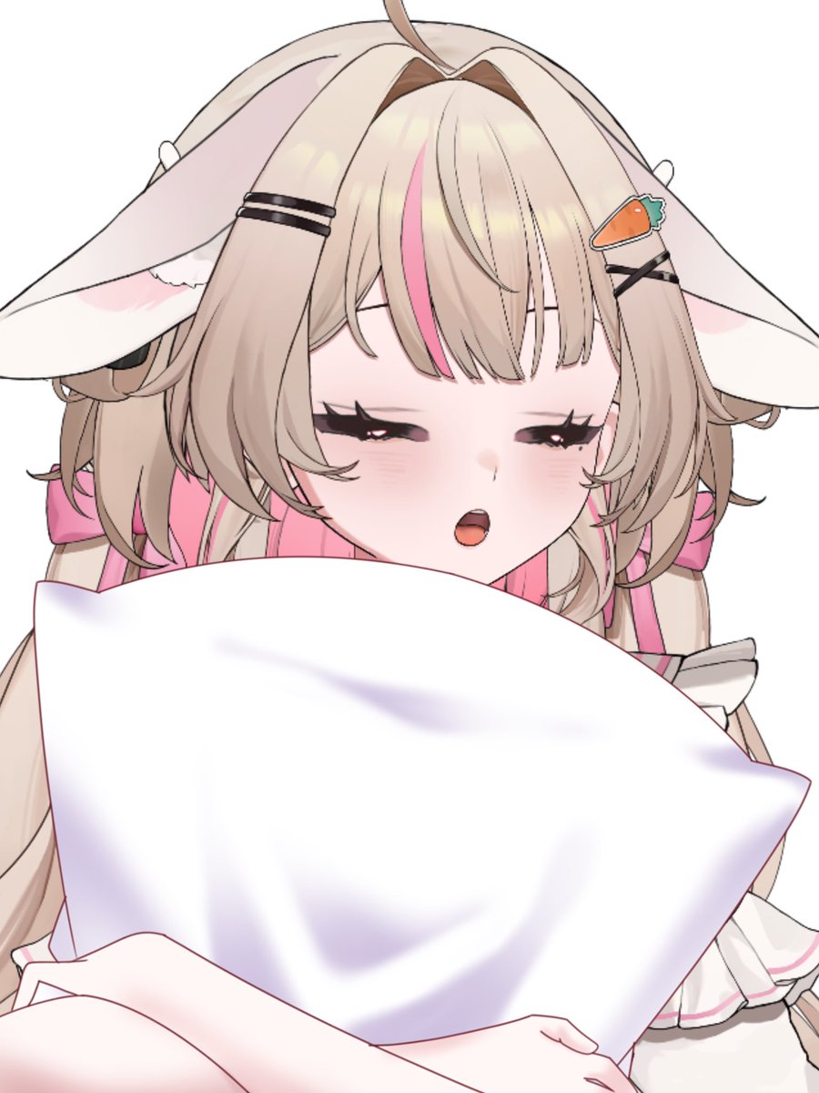 MERO_Mechi's tweet photo. おやすみ(՞- -՞)ᐝ https://t.co/pnL6VFC7M1
